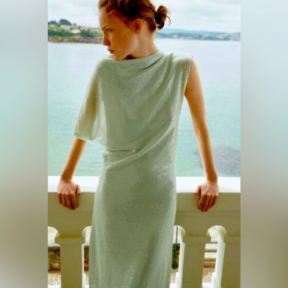 Limited Edition Zara Sequin Asymmetric Dress (Small)